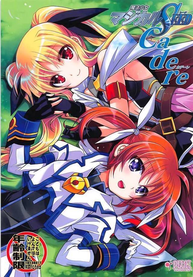 【リリカルなのは】フェイト「きもち…ひっい、いいれす、イイ…ッ！」更生プログラムという名の調教を受けていたフェイトが輪姦されてヨがっちゃう！【エロ漫画同人誌】