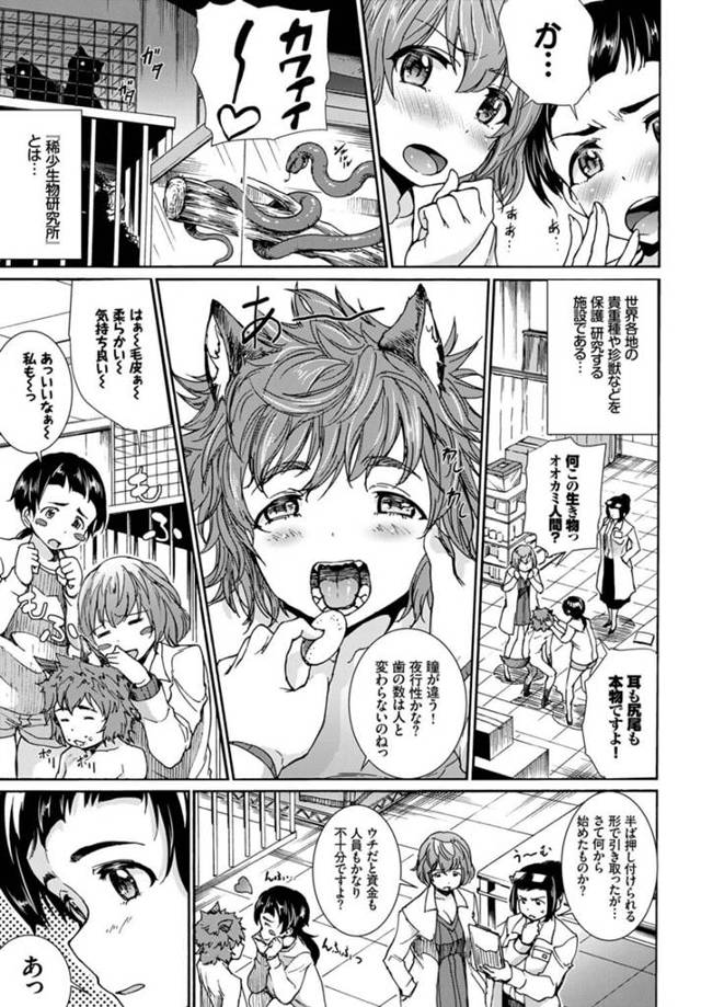 【エロ漫画】希少生物研究所で研究社ではオオカミと人間のハーフが性交するｗ【無料 エロ同人】