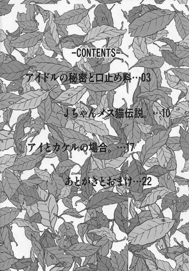 ジュリー澤ラギ、ノ原カケルのエロ同人誌。【よろず】