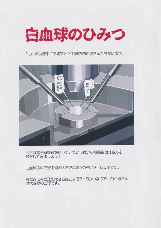 巨乳爆乳ふたなり白血球1196がむちむちマンコに生挿入！【はたらく細胞】