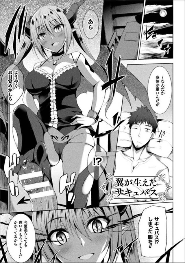 【エロ同人誌】男性を襲って精液を採取しようとする巨乳の淫乱サキュバス…足コキでイカせた精液を飲んだ彼女は彼が聖職者だったことを知り逃げ出す彼女を犯してしまうと中出し絶頂しまくり天使になっちゃう【すてりぃ：翼が生えたサキュバス】