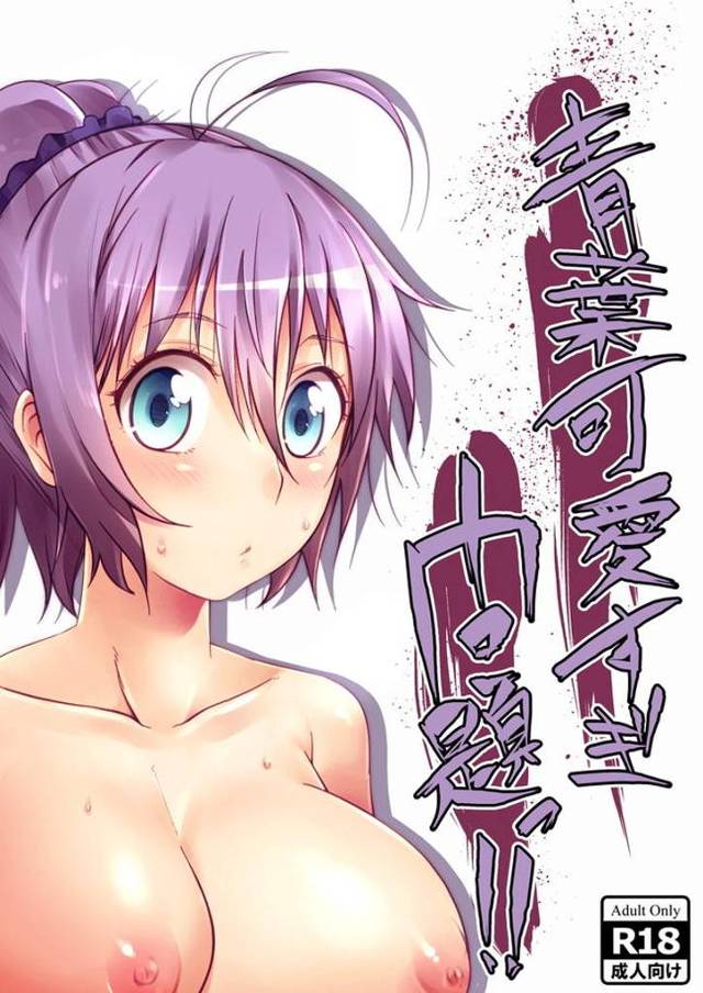 奥手な青葉を矯正するためがっつりレズプレイする衣笠wwwだらしないトロ顔させちゃって青葉可愛すぎ♡【艦隊これくしょん(艦これ) ・エロ同人誌】