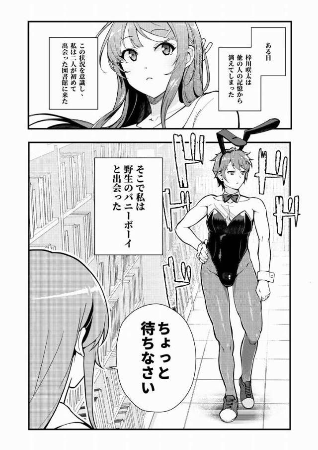 【エロ同人】麻衣!!麻衣さん!!麻衣さんとセックスするの大好き!!「青春ブタ野郎はバニーガール先輩の夢を見ない/桜島麻衣」
