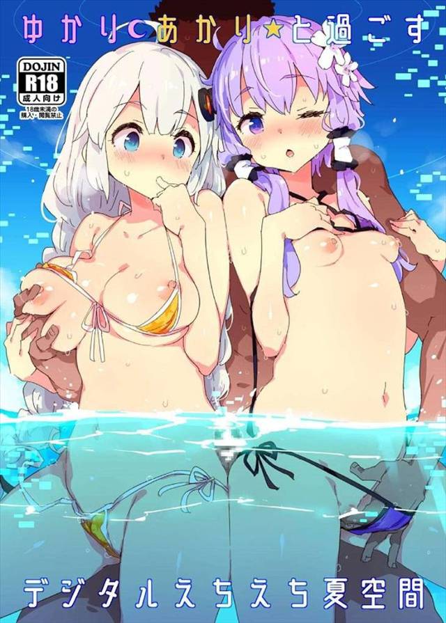 《VOICEROID》海を満喫するということを、ゆかりとあかりが教えてくれたよ。ビーチに岩場に海の家にシャワー室に…あらゆる場所でセックス！
