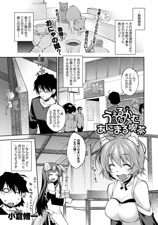 動物に癒やされようとアニマルカフェに入ったら店員が着ぐるみのアニマルカフェだったｗｗｗごめんなさい、ミルク入れ忘れたがおー。お兄さんタイプだから特別サービスしま～す。きぐるみを脱いでバニーガール姿でおっぱいからミルクを垂らすウェイトレスｗｗｗｗｗはいどうぞ、召し上がれ♡