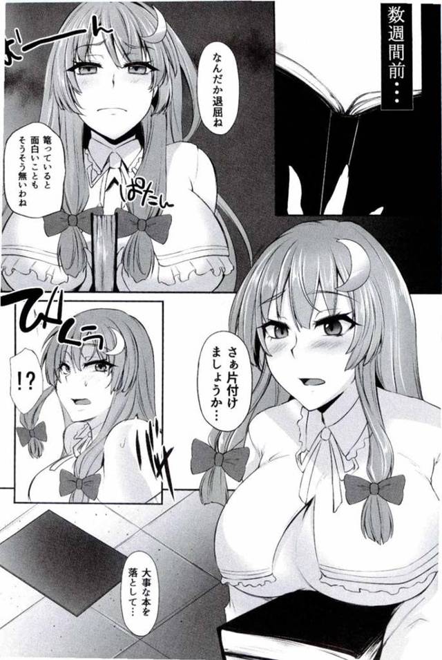 【エロ同人誌 東方】人間機のエロ本を見て興味本位でハメまくっちゃうw【無料 エロ漫画】