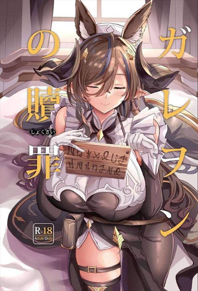 《グラブル》前半パートと後半パートに分かれているんだけど前半パートは画像の質がいまいち。でも後半パートで復活！ガレヲンさん本です！