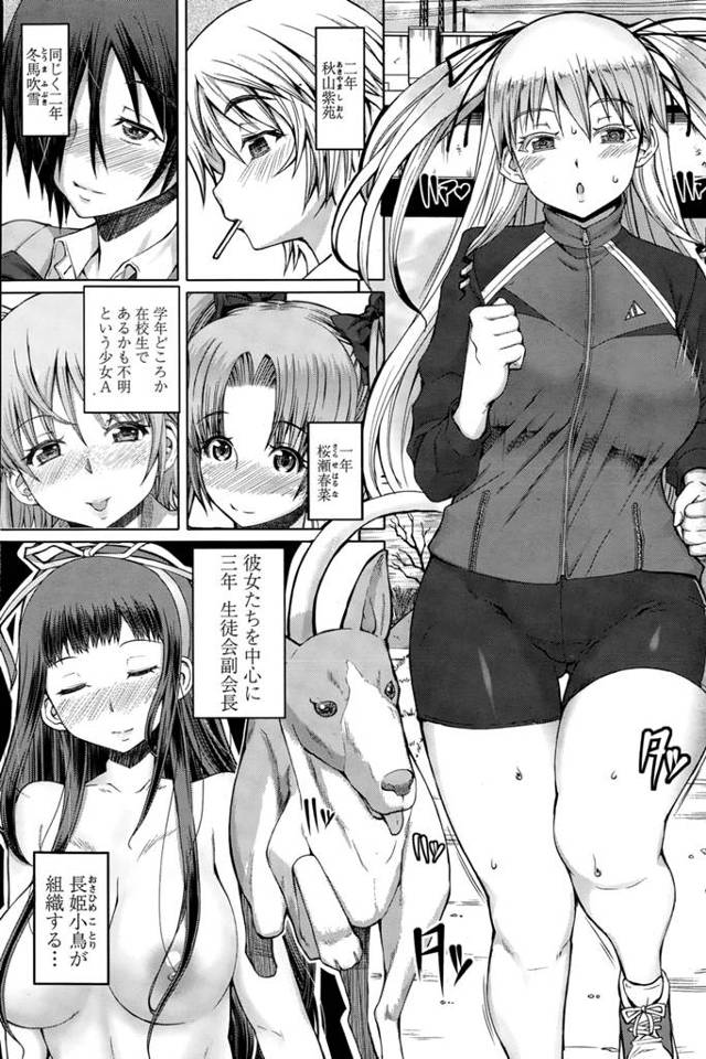 女性徒たちをたぶらかし学園にふしだらを蔓延させるビッチ集団を追い詰める風紀委員長。あとは証拠現場を抑えるだけ!と思ったのに仲間に裏切られ愛犬に陵辱される!!愛犬とセックスだなんて人間失格ですわ♡
