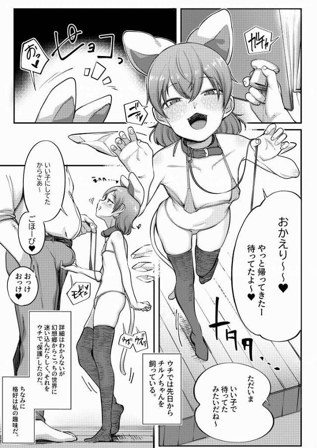 【エロ同人】ウチでは先日からチルノちゃんを飼っている。「東方Project/チルノ」