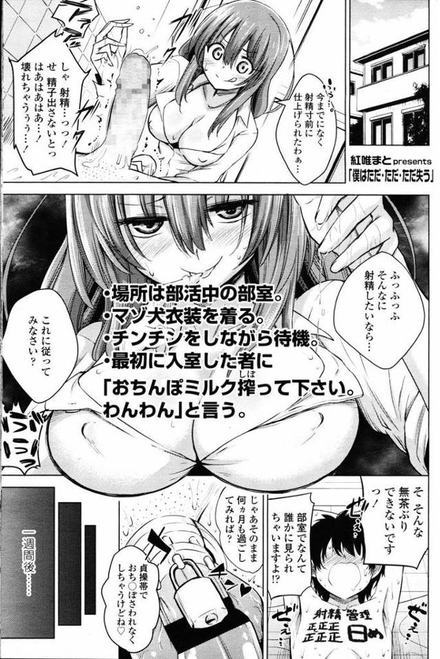 【エロ漫画】超ドSな陸上部の美少女先輩に貞操帯をつけられ射精管理されてる男子が、彼女が先輩とつきあうことになったと思…
