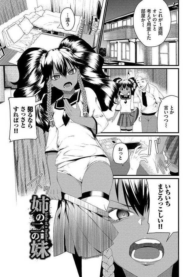 【同人誌】姉の二の妹【オリジナル】